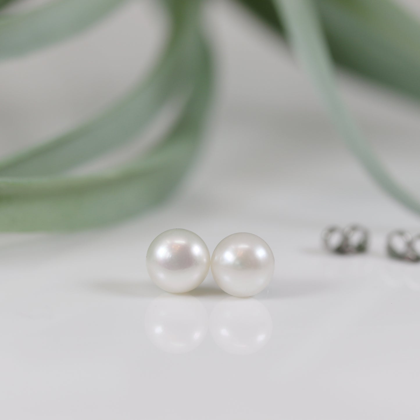 Boucles d'oreilles en titane avec perles d'eau douce naturelles