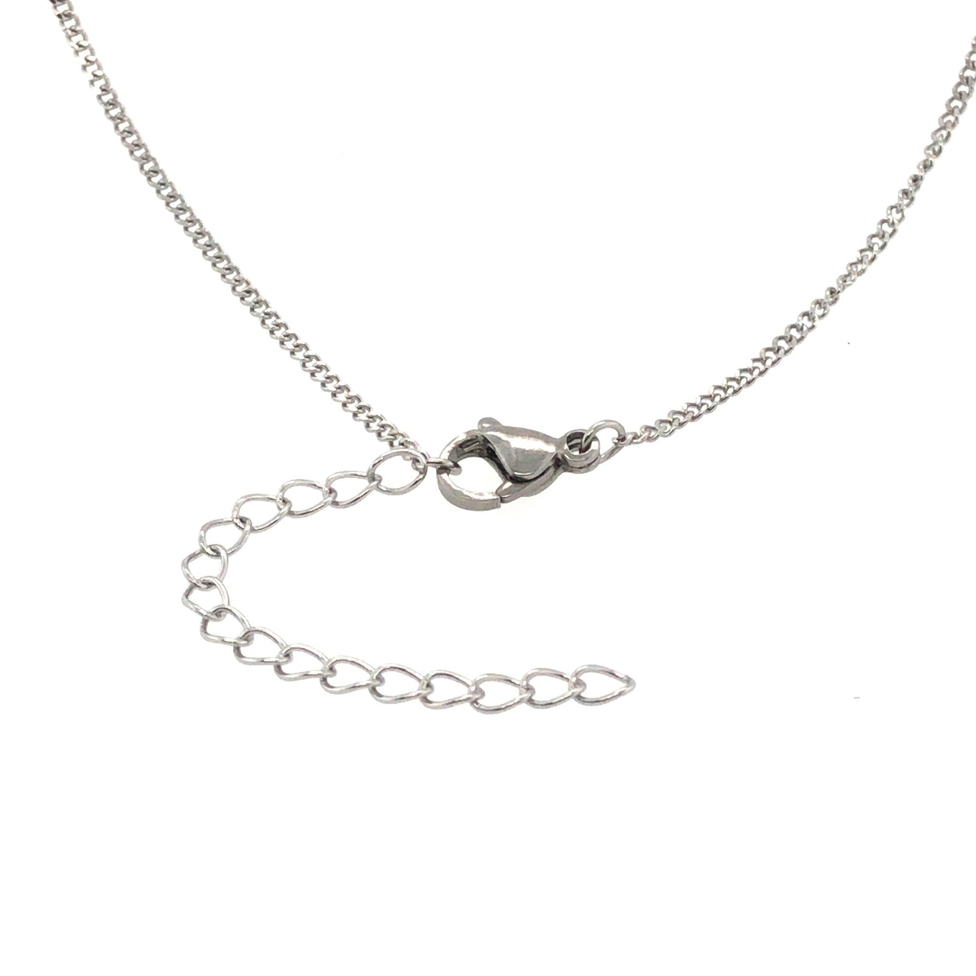 silver curb chain with 2" extender chain