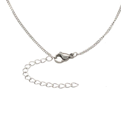 silver curb chain with 2" extender chain