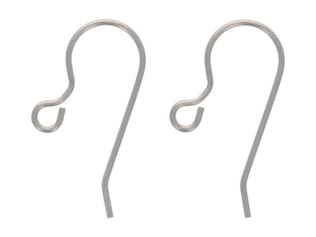 A pair of pure titanium earring hooks with a silver finish, displayed against a white background.