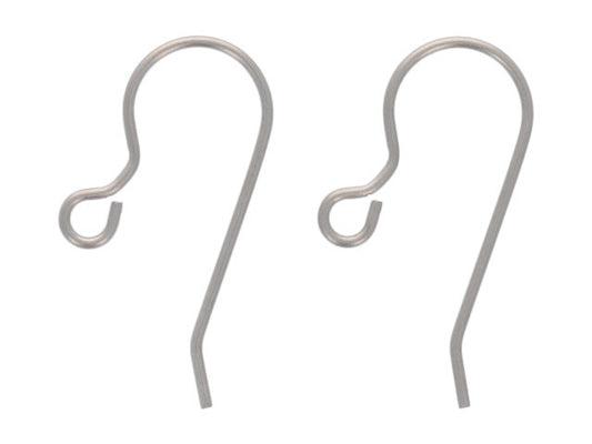 A pair of pure titanium earring hooks with a silver finish, displayed against a white background.