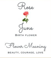 Birth Month Flower Dangle Earrings - 12 Designs