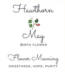 Birth Month Flower Dangle Earrings - 12 Designs