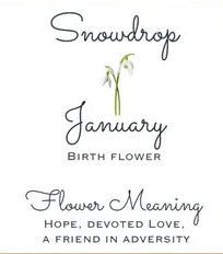 Birth Month Flower Dangle Earrings - 12 Designs