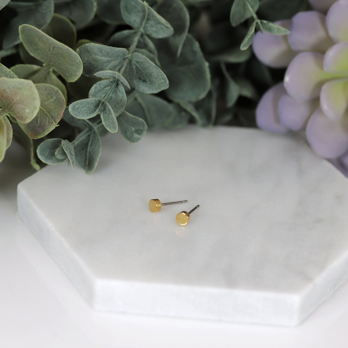 Titanium Round Dot Stud Earrings
