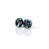 Plastic Post or Invisible Clip On Abalone Shell Earrings